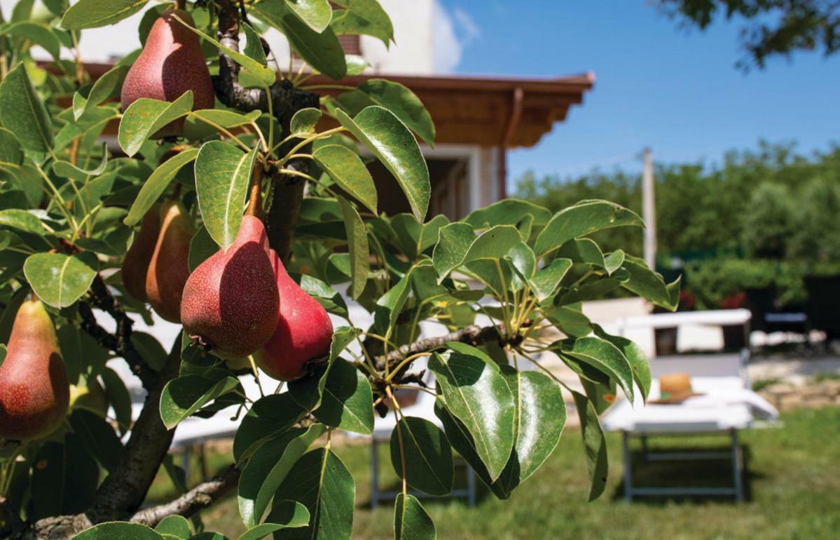 Le Margherite Country House Montefalcone Appennino Εξωτερικό φωτογραφία